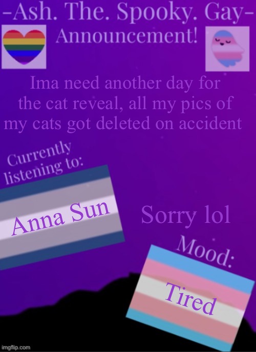 Yea sorry | Ima need another day for the cat reveal, all my pics of my cats got deleted on accident; Sorry lol; Anna Sun; Tired | image tagged in myspookytemp | made w/ Imgflip meme maker