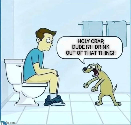 Bahaha |  HOLY CRAP, DUDE !?! I DRINK OUT OF THAT THING!! | image tagged in dogs,pooping,drinking | made w/ Imgflip meme maker