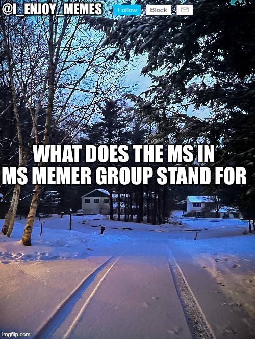 Winter i_enjoy_memes template | WHAT DOES THE MS IN MS MEMER GROUP STAND FOR | image tagged in winter i_enjoy_memes template | made w/ Imgflip meme maker