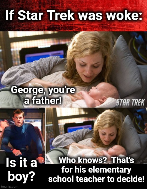 James Kirk or Julie Kirk, who knows? | If Star Trek was woke:; George, you're
a father! Who knows?  That's
for his elementary
school teacher to decide! Is it a
boy? | image tagged in memes,star trek,woke,democrats,james kirk,transgender | made w/ Imgflip meme maker
