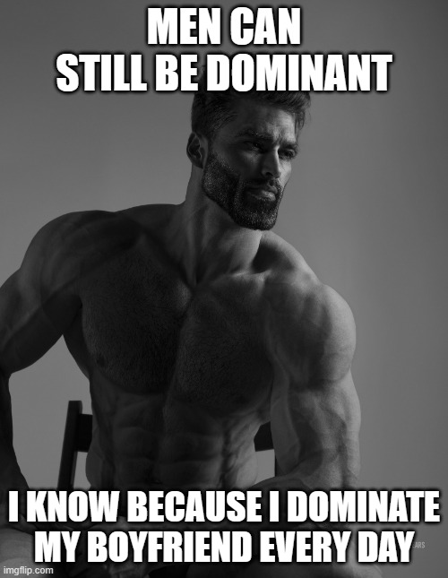 what tlp said | MEN CAN STILL BE DOMINANT; I KNOW BECAUSE I DOMINATE MY BOYFRIEND EVERY DAY | image tagged in giga chad | made w/ Imgflip meme maker