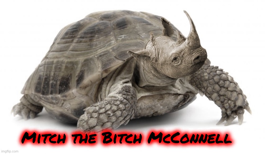 Mitch the Bitch McConnell | made w/ Imgflip meme maker