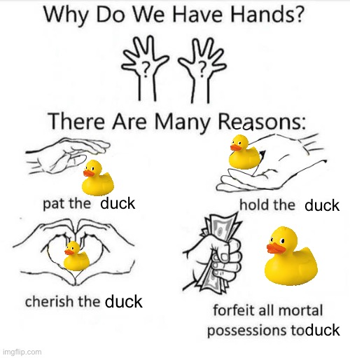 D U C K | duck; duck; duck; duck | image tagged in why do we have hands | made w/ Imgflip meme maker