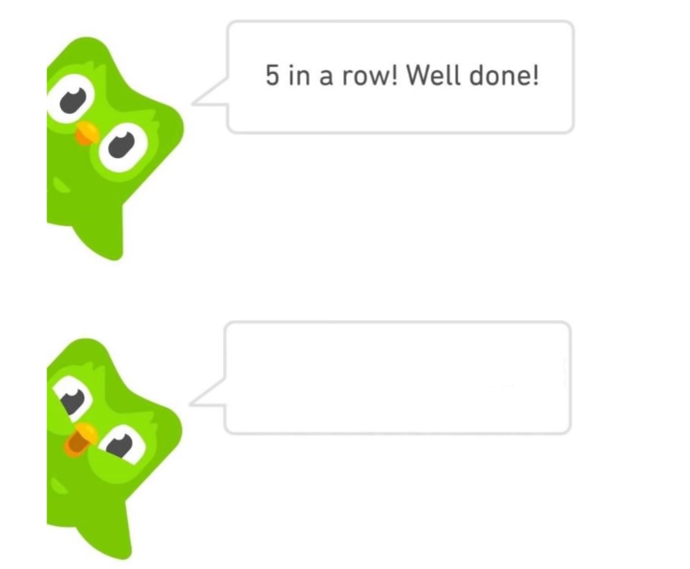 Duolingo 5 days Blank Meme Template