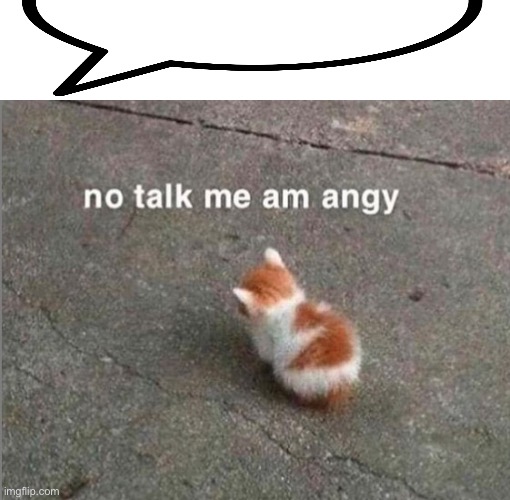 no talk me am angy | image tagged in no talk me am angy | made w/ Imgflip meme maker
