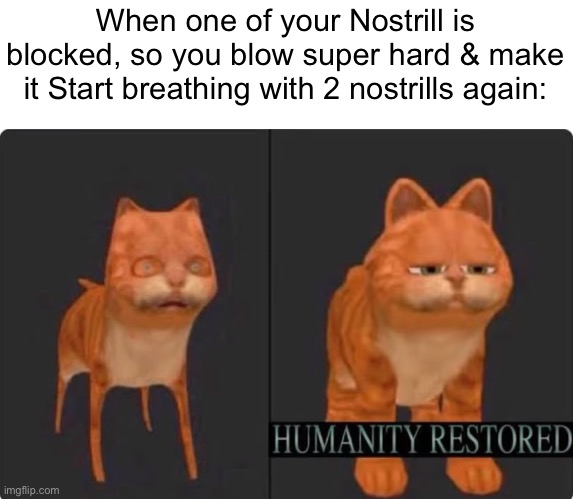 Accurate tbh | When one of your Nostrill is blocked, so you blow super hard & make it Start breathing with 2 nostrills again: | image tagged in humanity restored,memes,funny,relatable memes,so true memes,nose | made w/ Imgflip meme maker