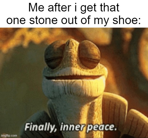 Finally, No more stone in my shoe. | Me after i get that one stone out of my shoe: | image tagged in finally inner peace,memes,funny,relatable memes,so true memes,stone | made w/ Imgflip meme maker