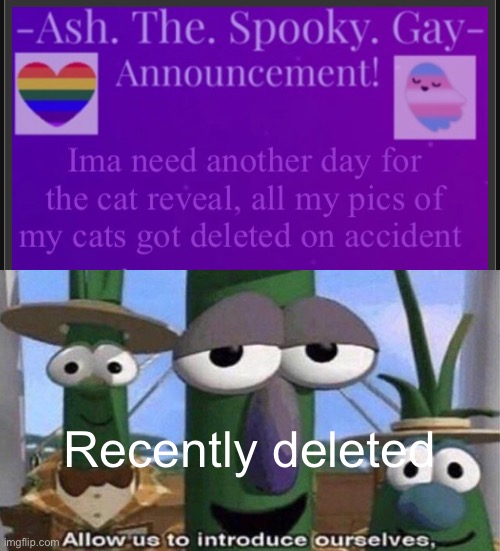 Recently deleted | image tagged in veggietales 'allow us to introduce ourselfs' | made w/ Imgflip meme maker