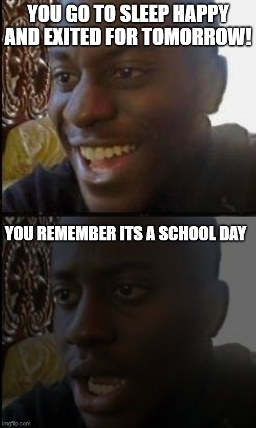 big sad | YOU GO TO SLEEP HAPPY AND EXITED FOR TOMORROW! YOU REMEMBER ITS A SCHOOL DAY | image tagged in school | made w/ Imgflip meme maker