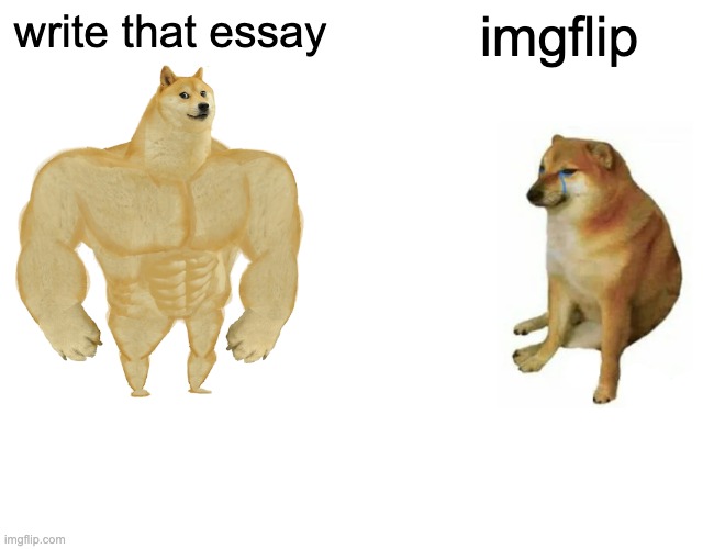 Buff Doge vs. Cheems | write that essay; imgflip | image tagged in memes,buff doge vs cheems | made w/ Imgflip meme maker