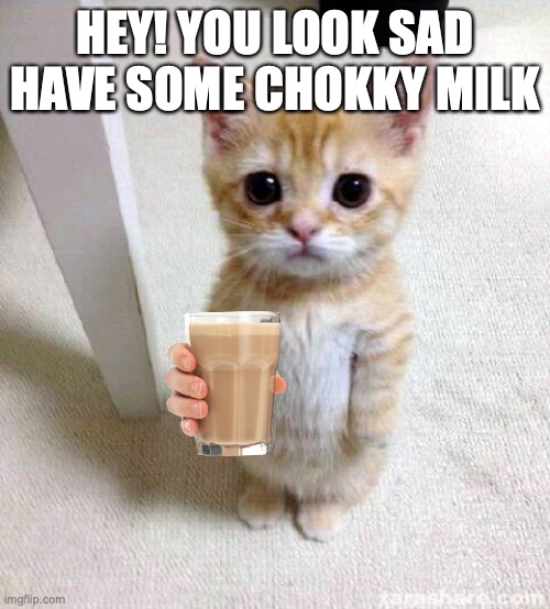 Cute Cat Meme | HEY! YOU LOOK SAD HAVE SOME CHOKKY MILK | image tagged in memes,cute cat | made w/ Imgflip meme maker