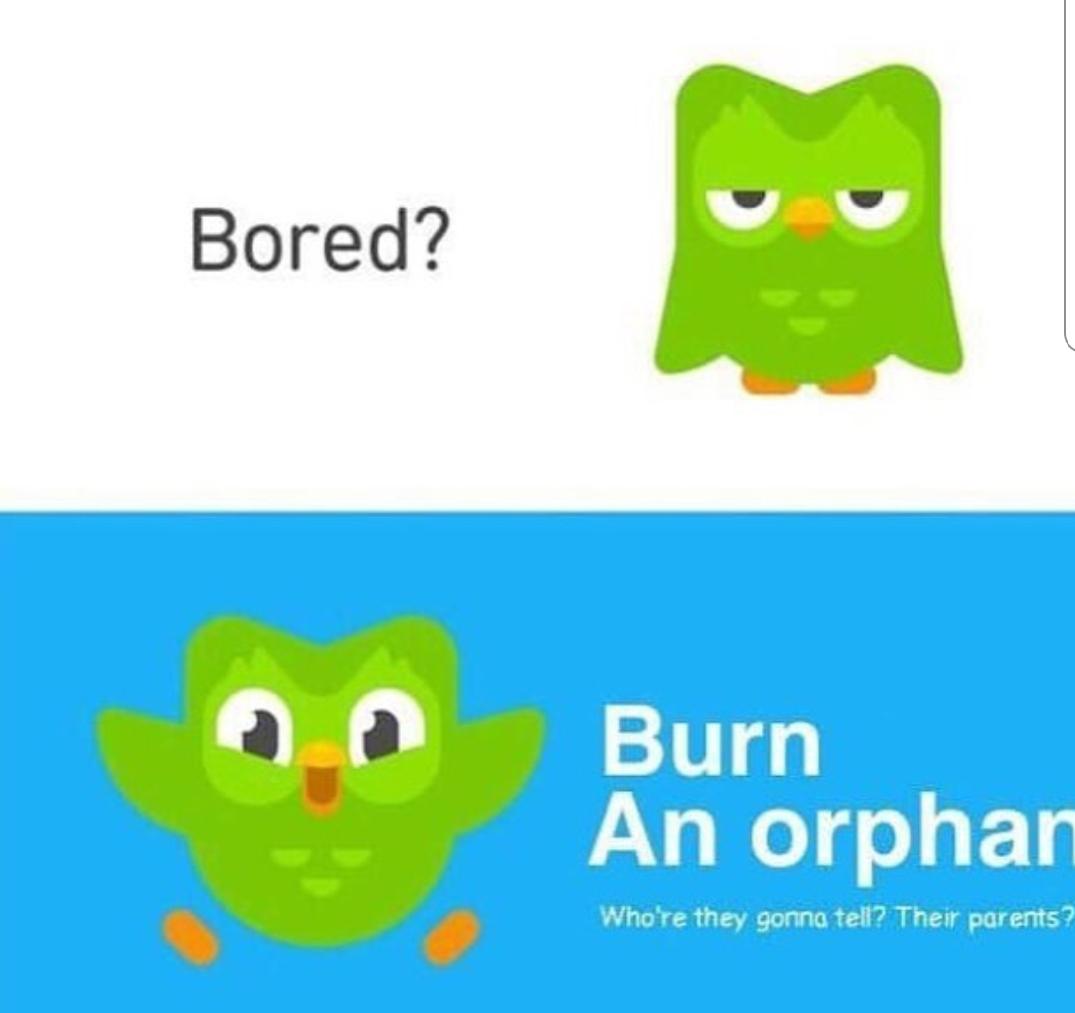 High Quality Bored? Burn an Orphan! Blank Meme Template