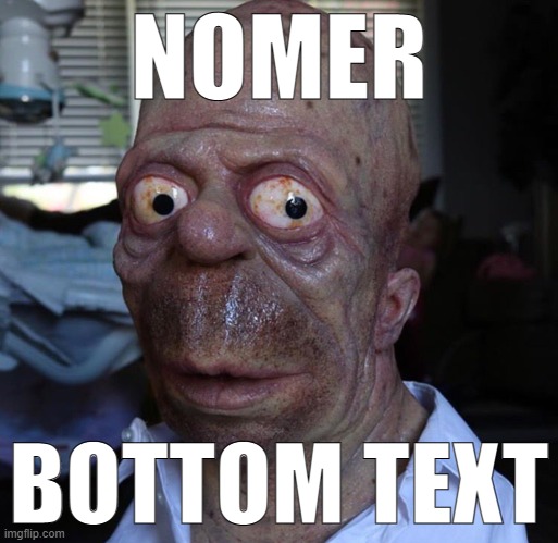 Nomer | NOMER; BOTTOM TEXT | image tagged in nomer | made w/ Imgflip meme maker