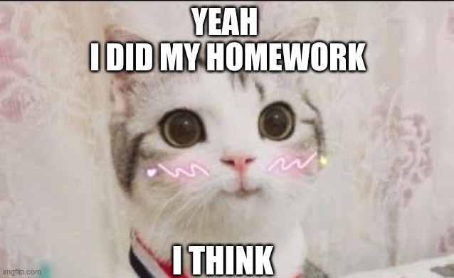 Yeah, i did my homwork | YEAH 
I DID MY HOMEWORK; I THINK | image tagged in cute cat uwu | made w/ Imgflip meme maker