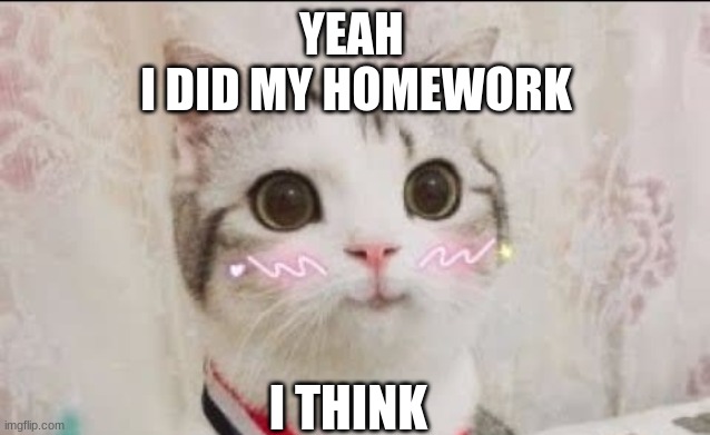 Yeah, i did my homwork - Imgflip