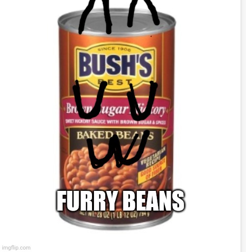 Beans | FURRY BEANS | image tagged in beans,uwu | made w/ Imgflip meme maker