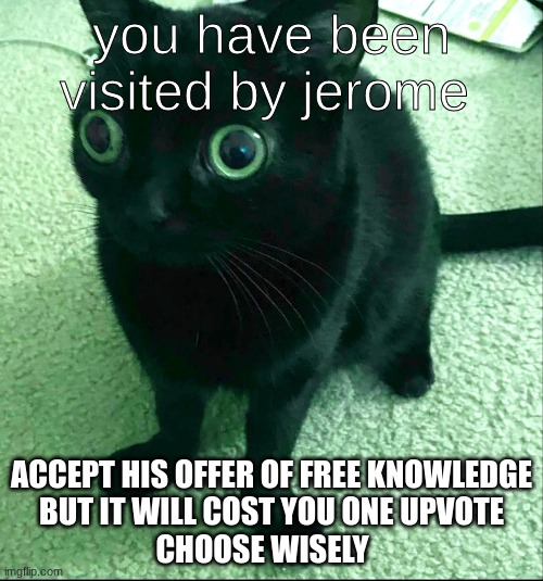 Jerome the cat | you have been visited by jerome; ACCEPT HIS OFFER OF FREE KNOWLEDGE
BUT IT WILL COST YOU ONE UPVOTE
CHOOSE WISELY | image tagged in cute cat | made w/ Imgflip meme maker