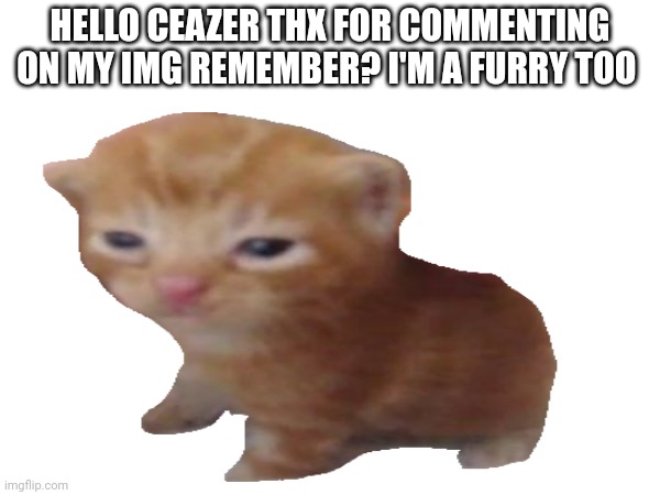 HELLO CEAZER THX FOR COMMENTING ON MY IMG REMEMBER? I'M A FURRY TOO | image tagged in uwu,thanks | made w/ Imgflip meme maker
