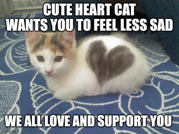 cute cat heart | CUTE HEART CAT WANTS YOU TO FEEL LESS SAD WE ALL LOVE AND SUPPORT YOU | image tagged in cute cat heart | made w/ Imgflip meme maker