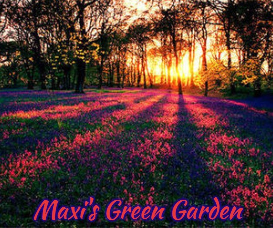 roses are red | Maxi's Green Garden | image tagged in roses are red,maxi's green garden,maxis green garden,slavic | made w/ Imgflip meme maker