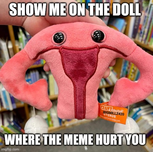 The meme hurt my uterus |  SHOW ME ON THE DOLL; WHERE THE MEME HURT YOU | image tagged in uterus,butt hurt,memes | made w/ Imgflip meme maker