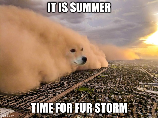 Dog Wave | IT IS SUMMER; TIME FOR FUR STORM | image tagged in dog wave | made w/ Imgflip meme maker