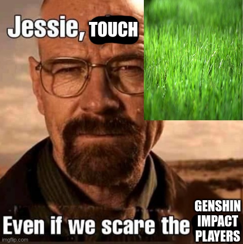 Jesse play X even if we scare the hoes | TOUCH; GENSHIN IMPACT PLAYERS | image tagged in jesse play x even if we scare the hoes | made w/ Imgflip meme maker