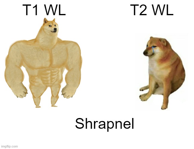 Buff Doge vs. Cheems Meme | T1 WL; T2 WL; Shrapnel | image tagged in memes,buff doge vs cheems | made w/ Imgflip meme maker