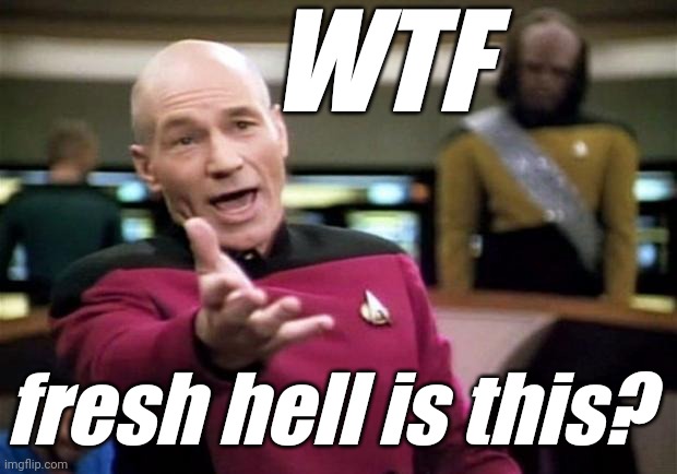 startrek | WTF fresh hell is this? | image tagged in startrek | made w/ Imgflip meme maker