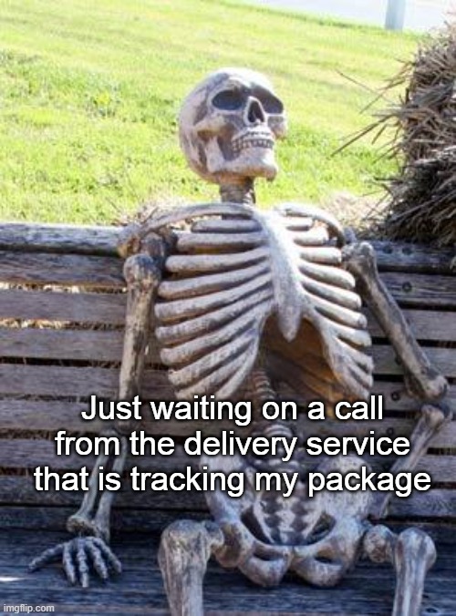 Waiting on Tracking Information | Just waiting on a call from the delivery service that is tracking my package | image tagged in memes,waiting skeleton,usps,ups,fed ex,shipping | made w/ Imgflip meme maker