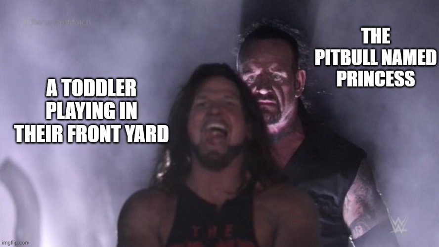 *doom music starts* | THE PITBULL NAMED PRINCESS; A TODDLER PLAYING IN THEIR FRONT YARD | image tagged in aj styles undertaker | made w/ Imgflip meme maker