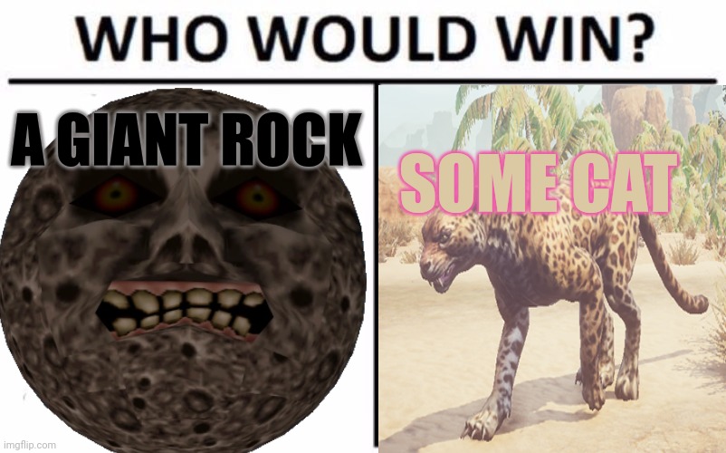 A GIANT ROCK SOME CAT | made w/ Imgflip meme maker