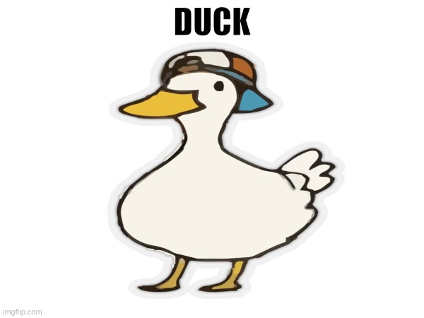 duck :) |  DUCK | image tagged in duck | made w/ Imgflip meme maker
