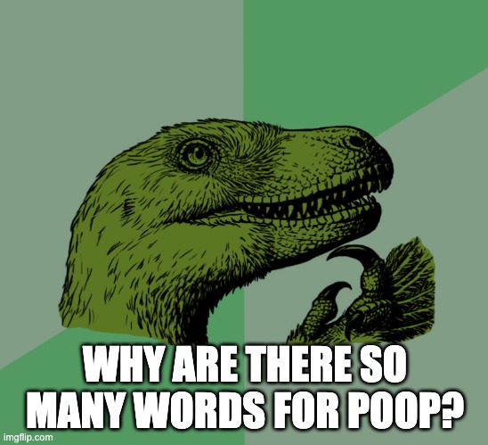 Think about it | WHY ARE THERE SO MANY WORDS FOR POOP? | image tagged in accurate philosoraptor | made w/ Imgflip meme maker
