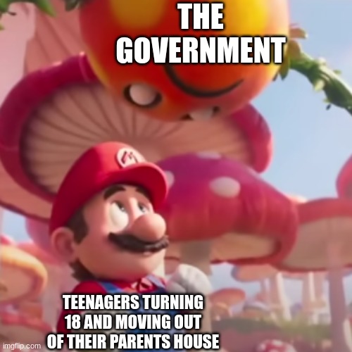THE GOVERNMENT; TEENAGERS TURNING 18 AND MOVING OUT OF THEIR PARENTS HOUSE | image tagged in mario,government | made w/ Imgflip meme maker