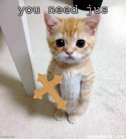 Cute Cat | you need jus | image tagged in memes,cute cat | made w/ Imgflip meme maker