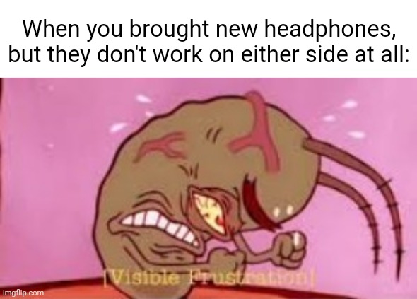 The new headphones | When you brought new headphones, but they don't work on either side at all: | image tagged in visible frustration,headphones,funny,memes,blank white template,task failed successfully | made w/ Imgflip meme maker