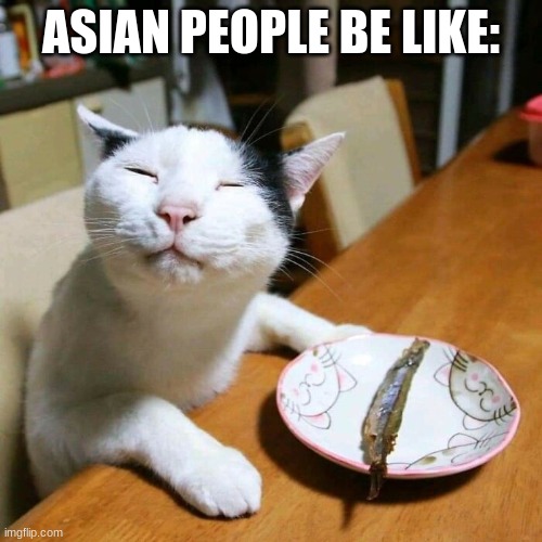 Asians be like meme | ASIAN PEOPLE BE LIKE: | image tagged in cats,asian | made w/ Imgflip meme maker
