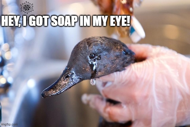 Duck crying oil spill  | HEY, I GOT SOAP IN MY EYE! | image tagged in duck crying oil spill | made w/ Imgflip meme maker