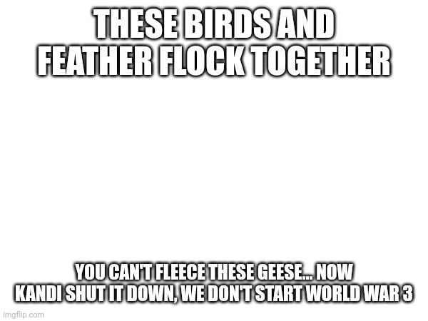 THESE BIRDS AND FEATHER FLOCK TOGETHER; YOU CAN'T FLEECE THESE GEESE... NOW KANDI SHUT IT DOWN, WE DON'T START WORLD WAR 3 | made w/ Imgflip meme maker