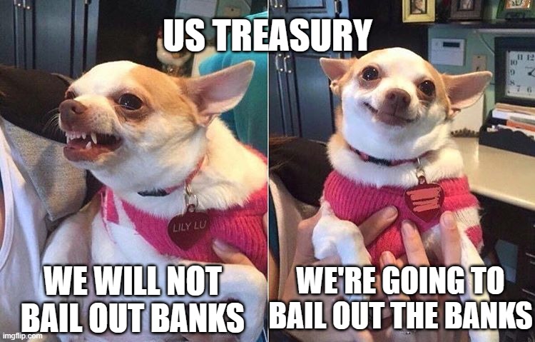 NO WE WONT!- YES WE WILL! | US TREASURY; WE'RE GOING TO BAIL OUT THE BANKS; WE WILL NOT BAIL OUT BANKS | image tagged in angry dog meme | made w/ Imgflip meme maker