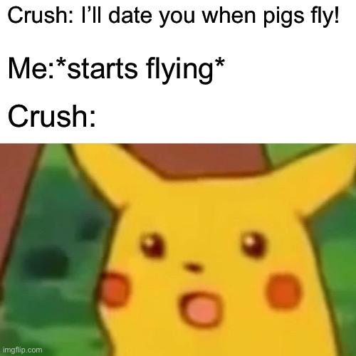 Surprised Pikachu | Crush: I’ll date you when pigs fly! Me:*starts flying*; Crush: | image tagged in memes,surprised pikachu | made w/ Imgflip meme maker