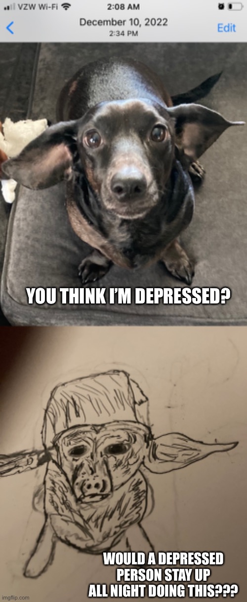 Depression Dog | YOU THINK I’M DEPRESSED? WOULD A DEPRESSED PERSON STAY UP ALL NIGHT DOING THIS??? | image tagged in depression | made w/ Imgflip meme maker