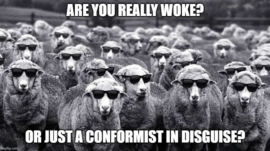 ARE YOU REALLY WOKE? OR JUST A CONFORMIST IN DISGUISE? | made w/ Imgflip meme maker