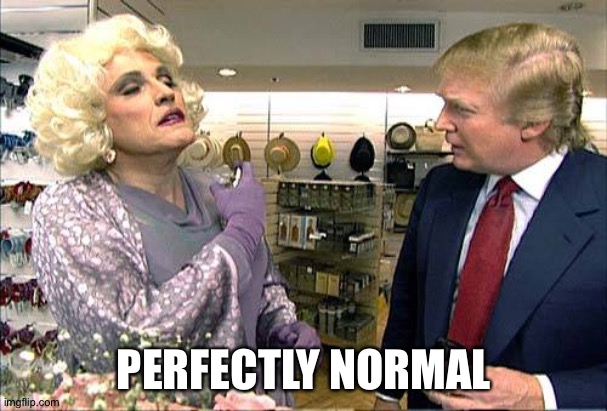 Trump rudy giuliana drag queen transvestite gay | PERFECTLY NORMAL | image tagged in trump rudy giuliana drag queen transvestite gay | made w/ Imgflip meme maker