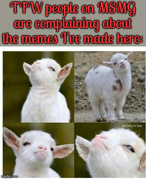 It's so validating! | TFW people on MSMG are complaining about the memes I've made here: | image tagged in proud lamb,the daily struggle imgflip edition,troll smasher,today was a good day | made w/ Imgflip meme maker