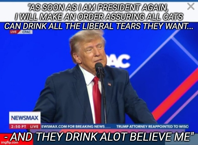 "AS SOON AS I AM PRESIDENT AGAIN,  I WILL MAKE AN ORDER ASSURING ALL CATS CAN DRINK ALL THE LIBERAL TEARS THEY WANT... - AND THEY DRINK ALOT | made w/ Imgflip meme maker