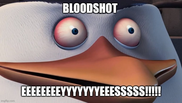 Bloodshot eeeeeeeeyyyyyyyeeesssss | BLOODSHOT; EEEEEEEEYYYYYYYEEESSSSS!!!!! | image tagged in penguins of madagascar skipper red eyes | made w/ Imgflip meme maker