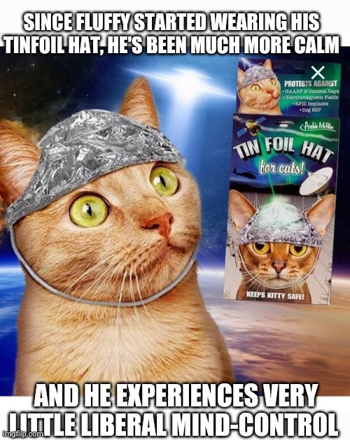 Keep Kitty Safe | SINCE FLUFFY STARTED WEARING HIS TINFOIL HAT, HE'S BEEN MUCH MORE CALM; AND HE EXPERIENCES VERY LITTLE LIBERAL MIND-CONTROL | image tagged in cute cat,tinfoil hat | made w/ Imgflip meme maker