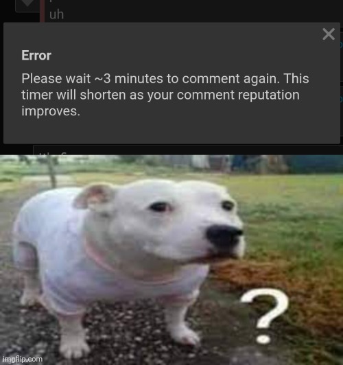 Pardon | image tagged in dog question mark | made w/ Imgflip meme maker